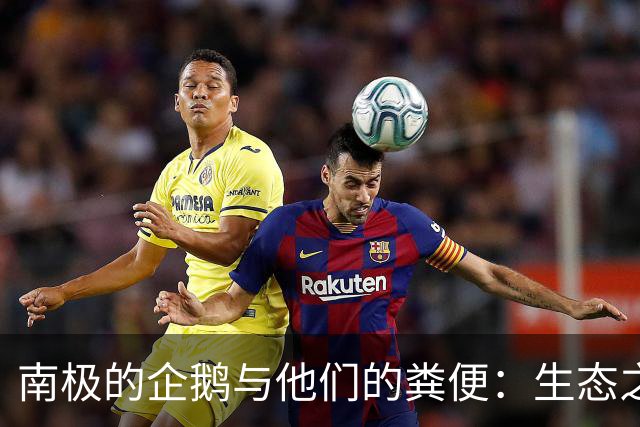 南极的企鹅与他们的粪便：生态之谜与气候影响