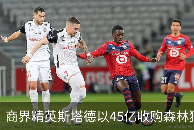 商界精英斯塔德以45亿收购森林狼与山猫球队